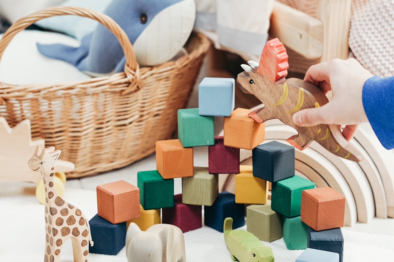 pexels-photo-3661243